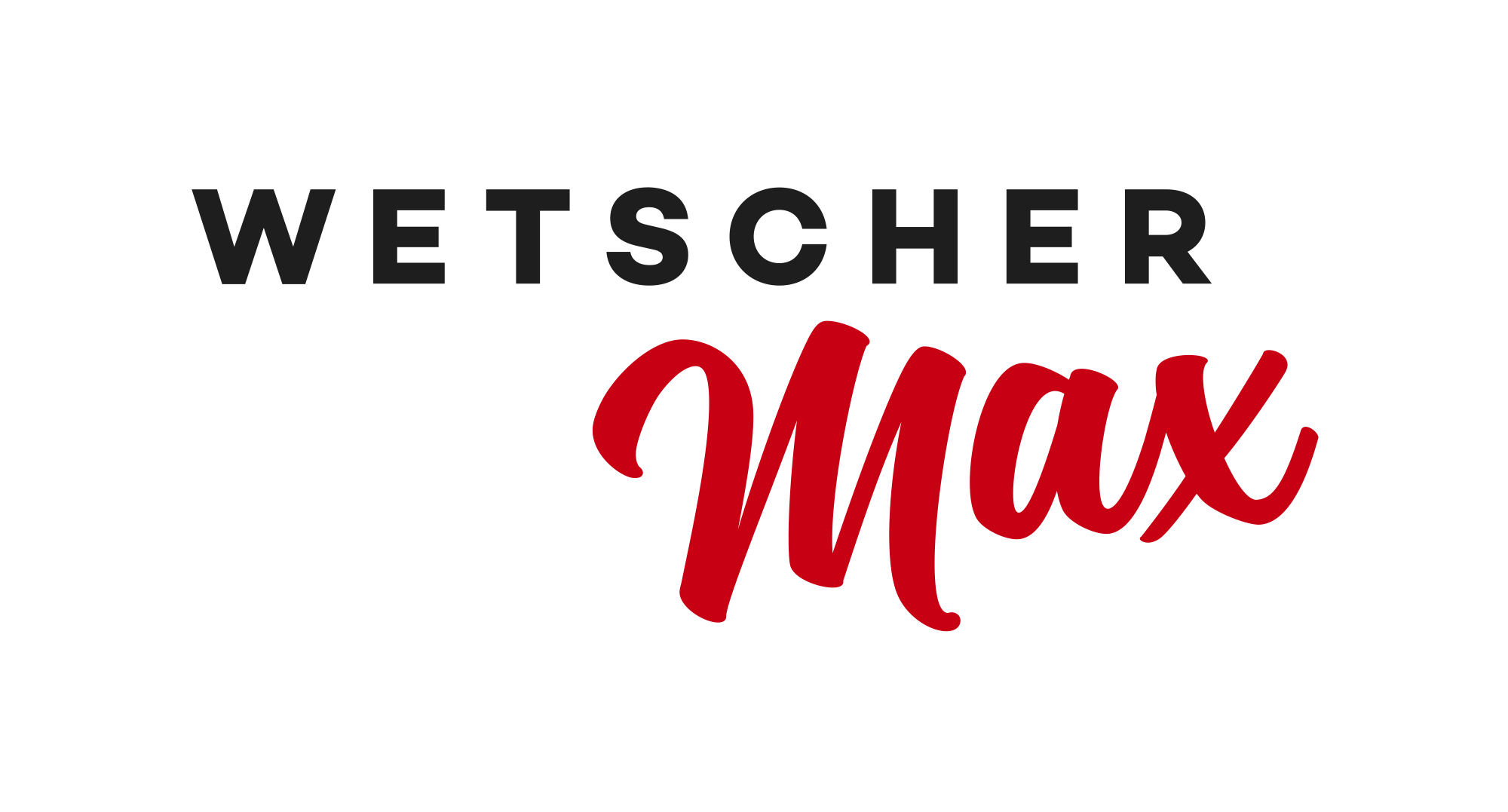 wetscher-moebel-mitnahme-gmbh--innsbruck logo